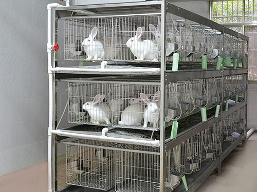 代理笼具