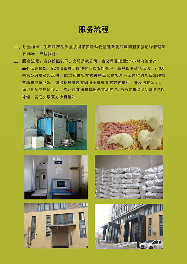 服务流程.jpg